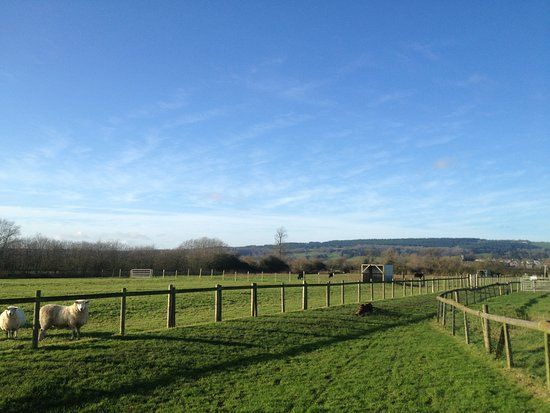 Saint Augustines Working Farm