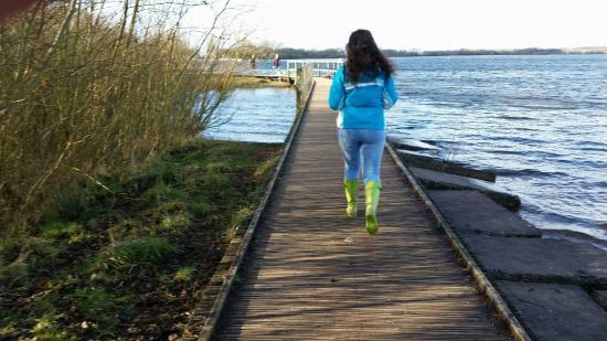 Chasewater Country Park