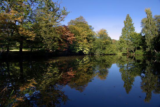 Danbury Country Park