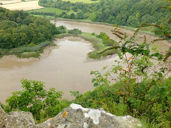 Lancaut Nature Reserve