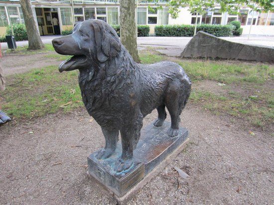 Leonberg Dog Statue