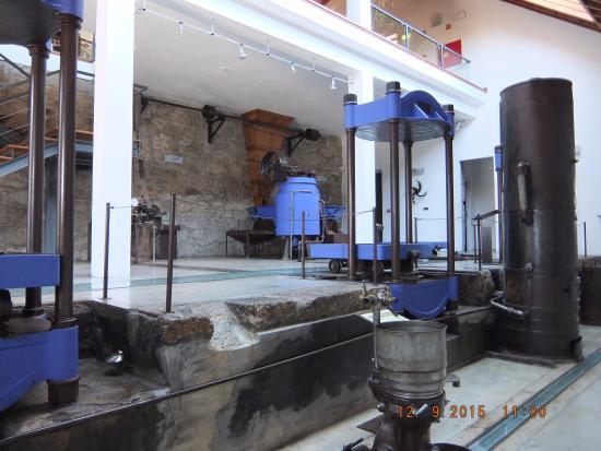 Museu do Azeite