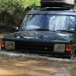 Chick-A-Dee Food Bar