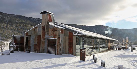 Wildbrumby Cafe