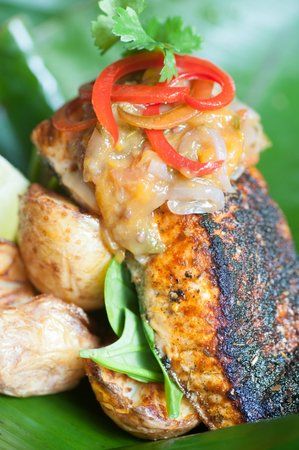 A Fish Shop Called Dory