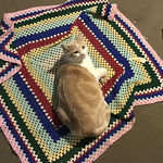 Domino's Pizza-Dalby