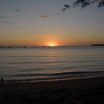 Miranda Palace Chinese & Malaysian Restaurant