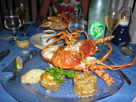 Le Rocher de Malendure