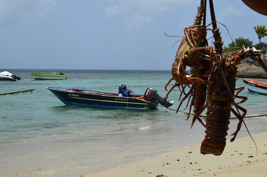 La Baraqu 'Obama Bar