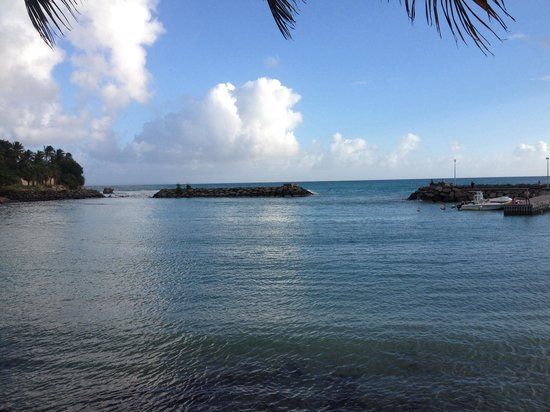 L'Oirsin de Saint Felix