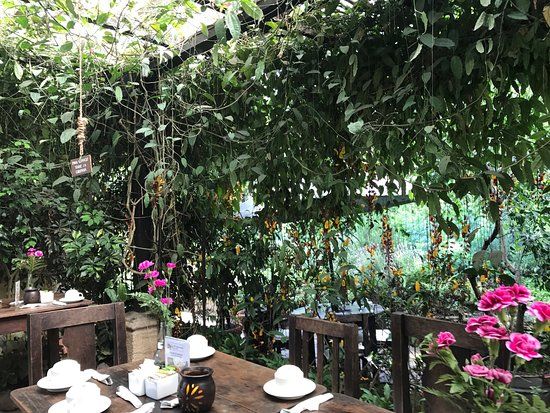 Vivero y Café de la Escalonia