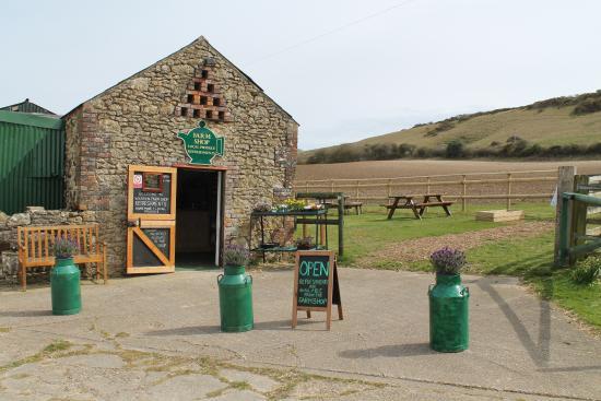 Warren Farm Shop & Tea Garden