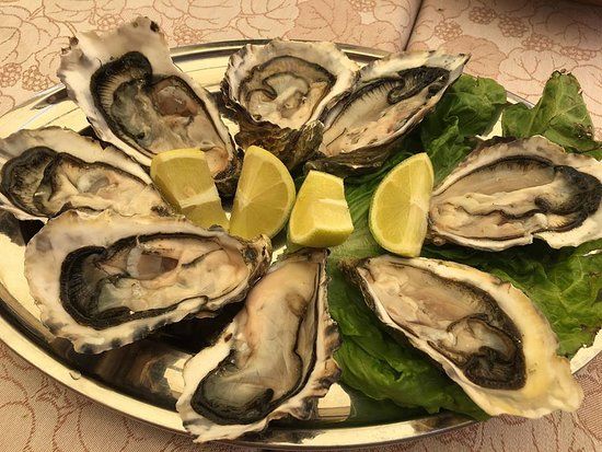 Ristorante il Bounty