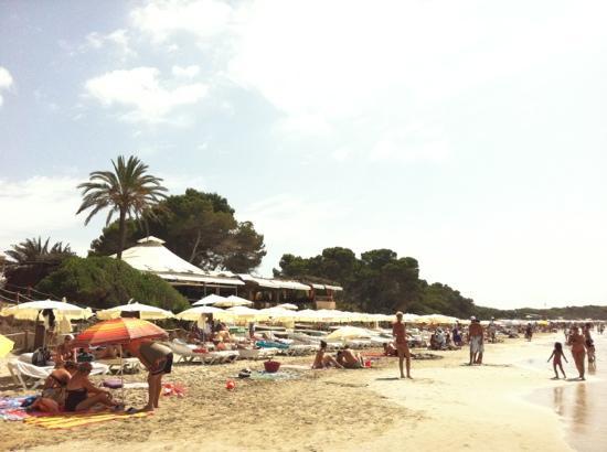 Malibu Beach Club Ibiza