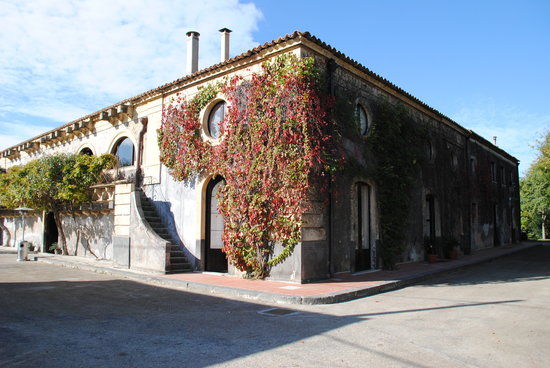 Tenuta del Gelso