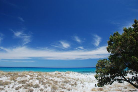 Agriturismo Piperedda