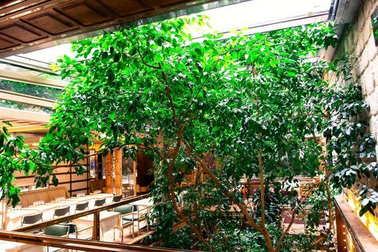 Au Petit Victor Hugo