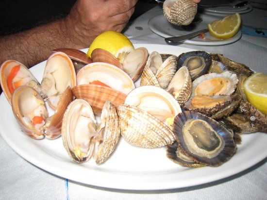 Camel Fish Restaurant & Camel Beach