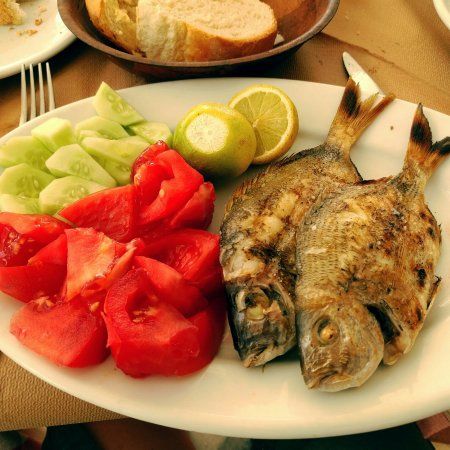 Colosseo Pizzeria Grill House