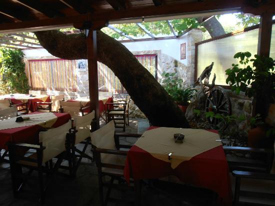 Sunrise Taverna & Bar