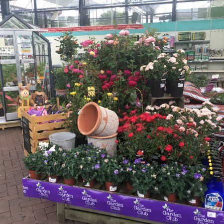 Endsleigh Garden Centre