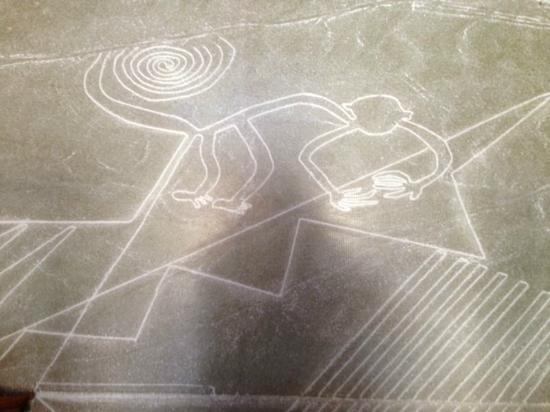 Museo Lineas de Nasca Centro Maria Reiche