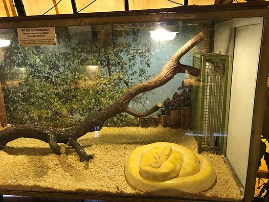 Zoologico Serpentario Mendoza