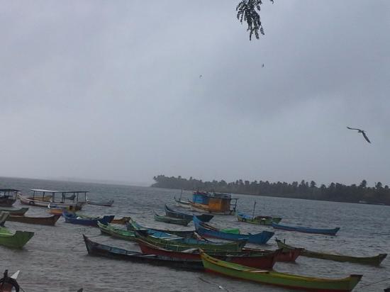 Centro Cultural João Ferreira da Silva