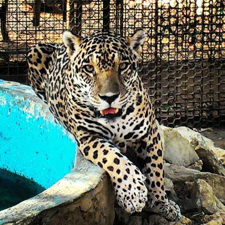 Zoológico de Paraguaná