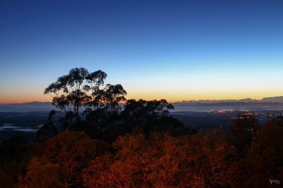 Bellbird Lookout
