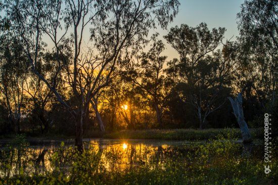Tiger Bay Wetlands