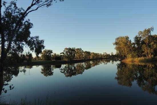 Goondiwindi Botanic Gardens of the Western Woodlands