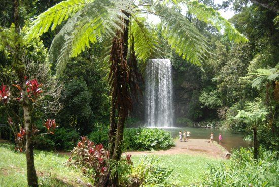Millaa Millaa Falls