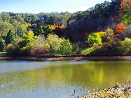 Mount Lofty Botanic Garden