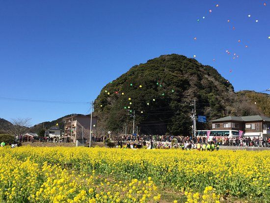 Hino Broccolini Garden