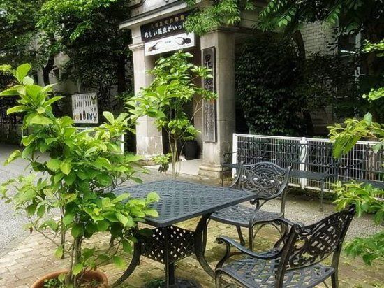 Nawa Museum of Insects