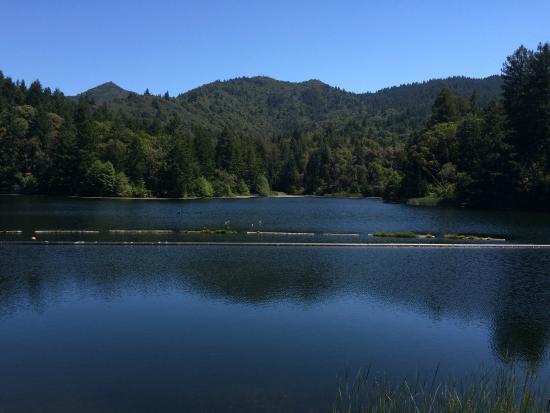 Lake Lagunitas