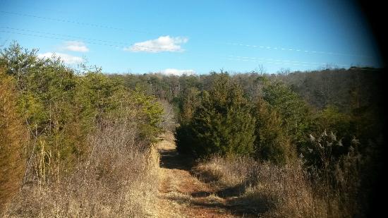 North Anna Nuclear Information Center