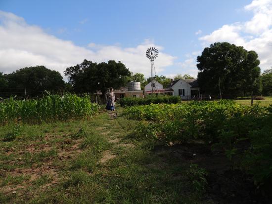 Sauer-Beckmann Living History Farm