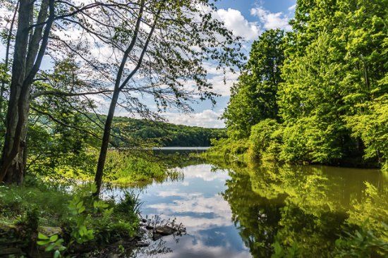 Lackawanna State Park