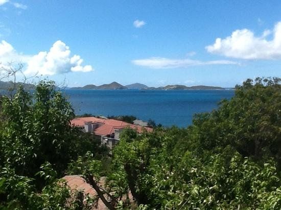 Coconut Coast Studio