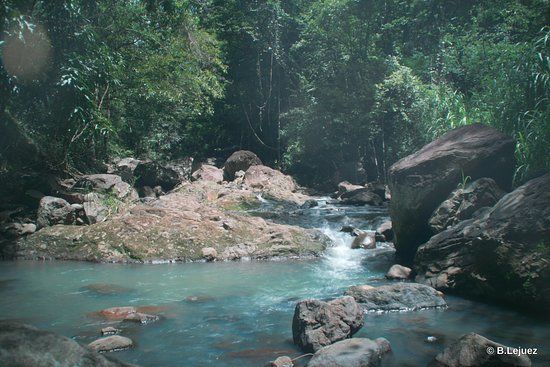 Roches gravées de la rivière du Plessis