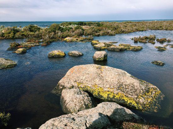 Jawbone Flora and Fauna Reserve