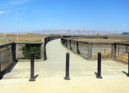 Sunnyvale Bay Trail