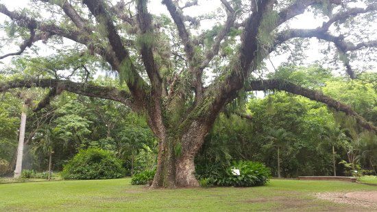 Jardín Botánico Naguanagua