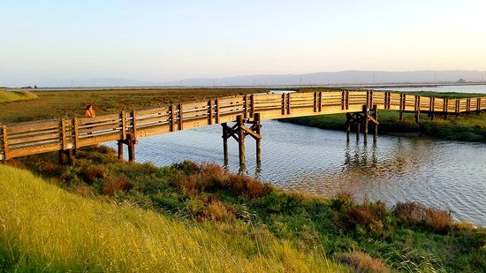 Don Edwards San Francisco Bay National Wildlife Refuge