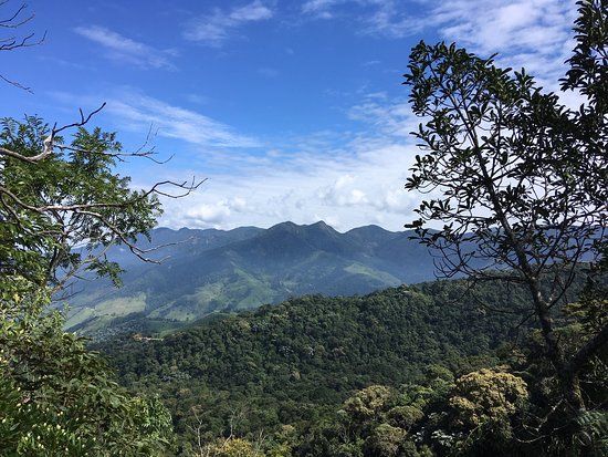 Pico do Focinho D'Anta