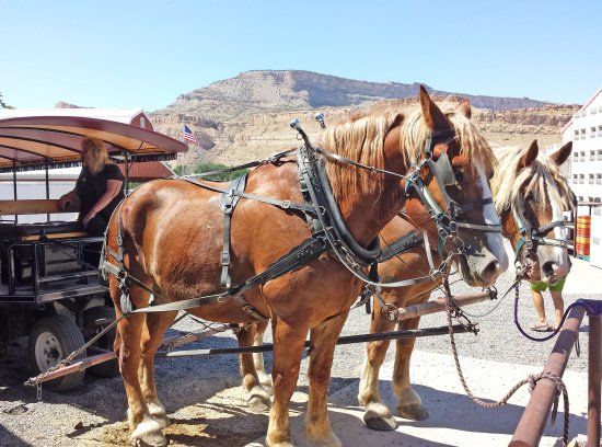 Clark Family Orchards