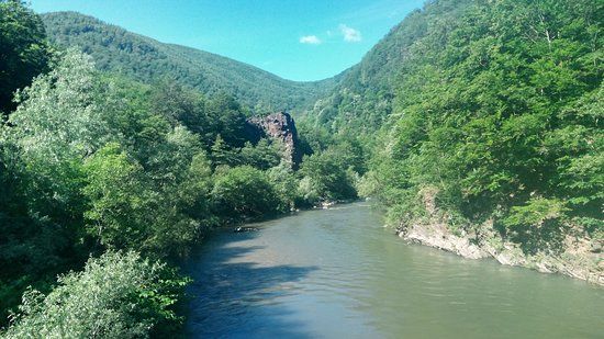 Parcul National Defileul Jiului