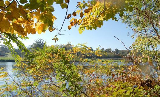 Arboretum du Chêne-Vert